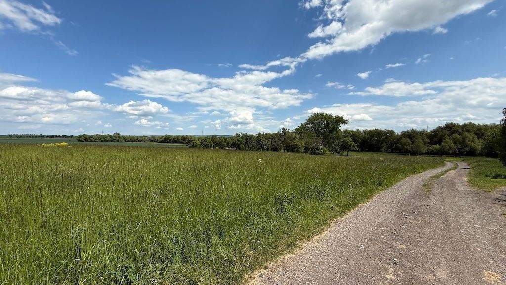 Grundstück Arnstadt Marlishausen - 141.600&euro; | Angebot:23478776