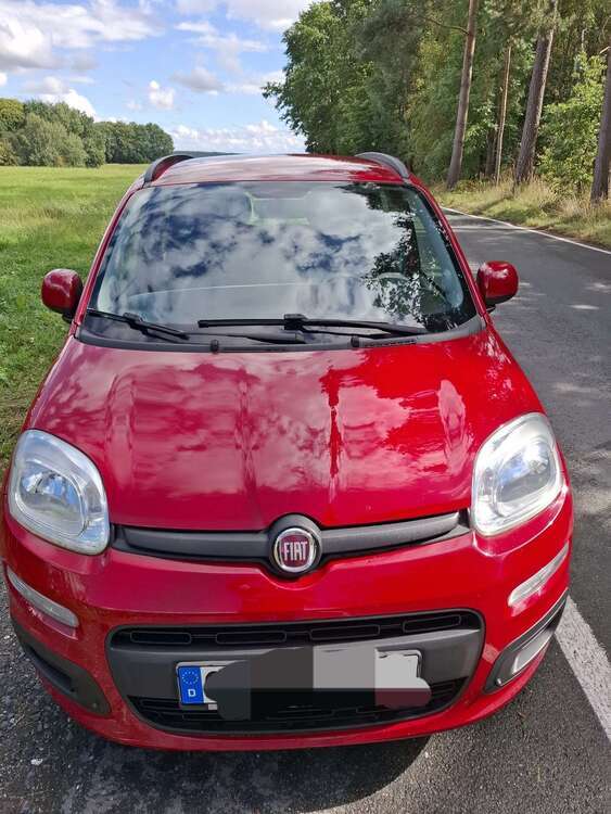 Panda
