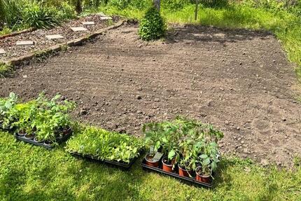 Grundstück Erfurt Andreasvorstadt - 3.000&euro; | Angebot:25423523