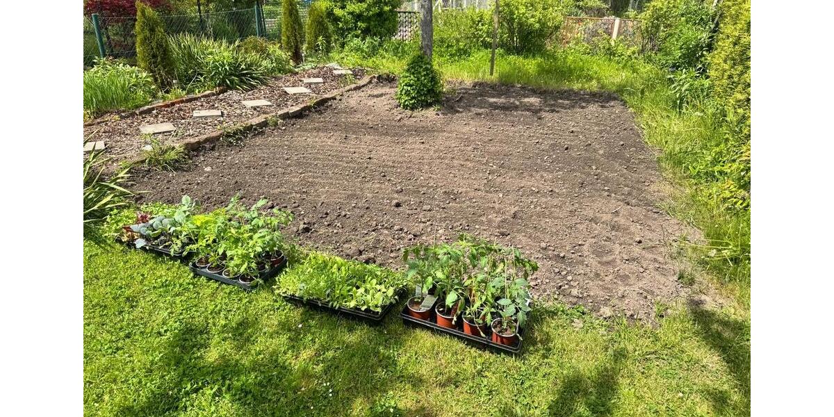 Grundstück Erfurt Andreasvorstadt - 3.000&euro; | Angebot:25423523