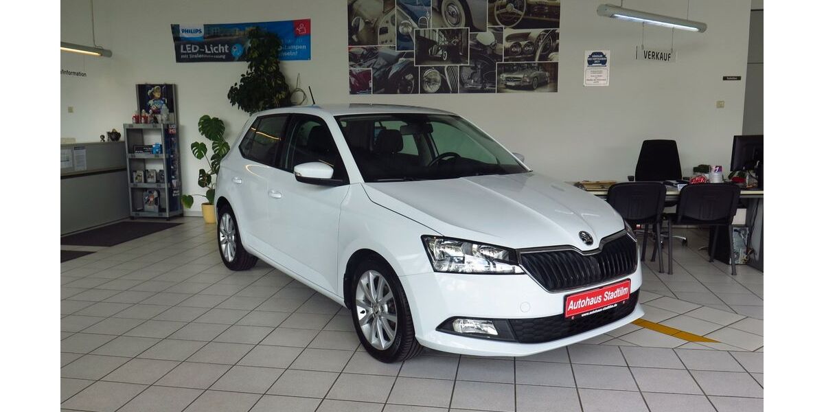 Skoda Fabia 78.373 km 12.900 &euro; Stadtilm 99326