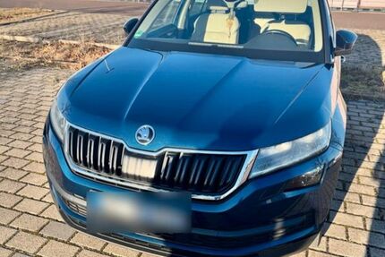 Skoda Kodiaq 287.600 km 15.700 &euro; Erfurt 99091