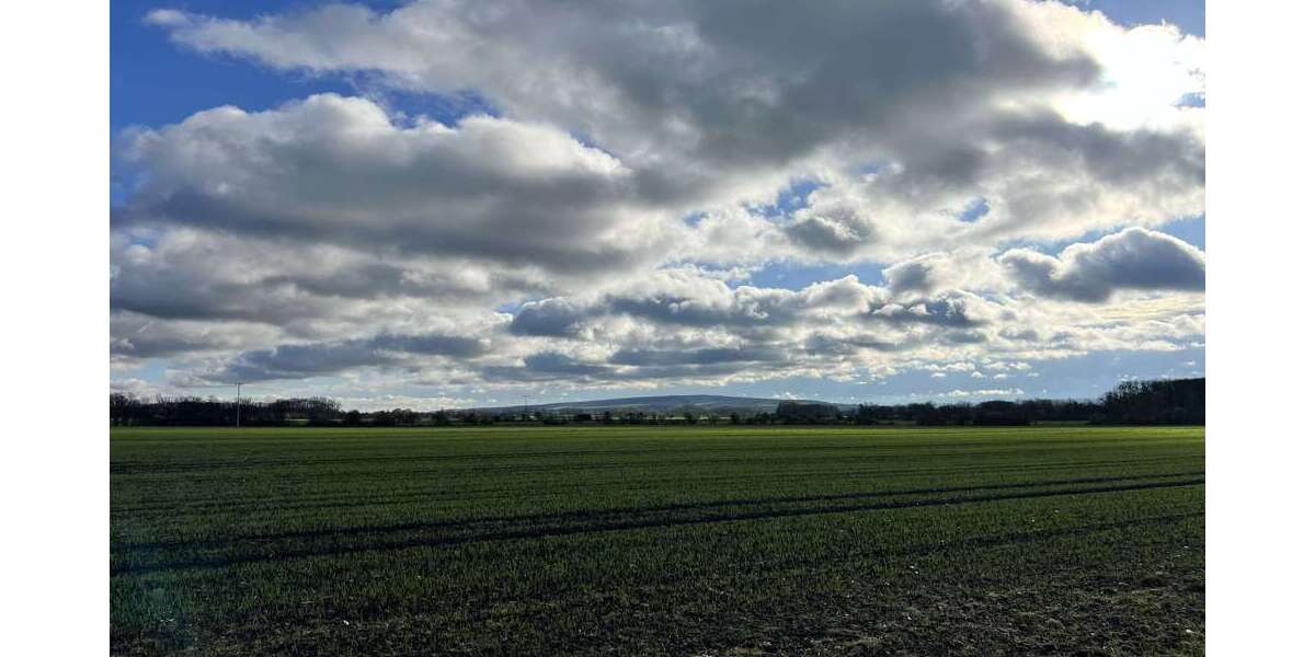 Grundstück zu verkaufen in Schloßvippach 105.000 € 700 m² zimmer