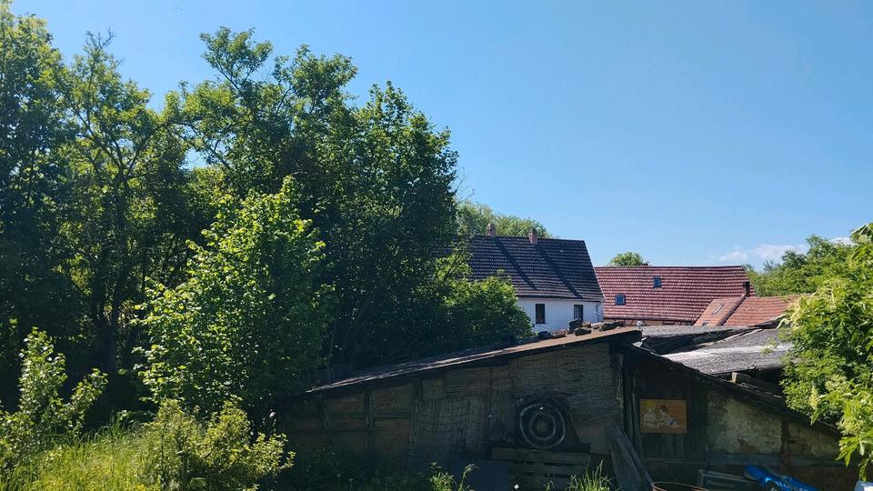 Einfamilienhaus Am Ettersberg - 7 Zimmer, 110 m&sup2;, 140.000&euro; | Angebot:27071067
