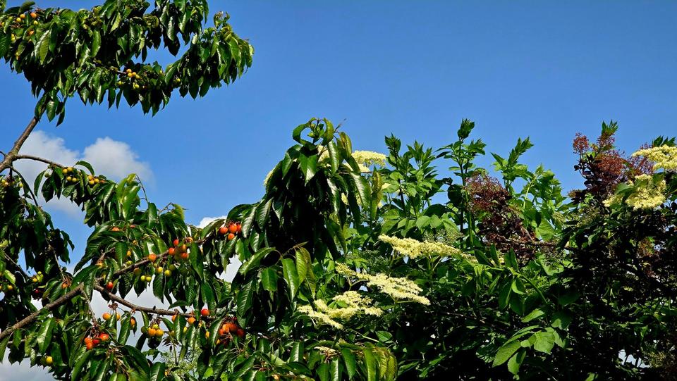 Grundstück Erfurt Hochheim - 3.450&euro; | Angebot:25908246