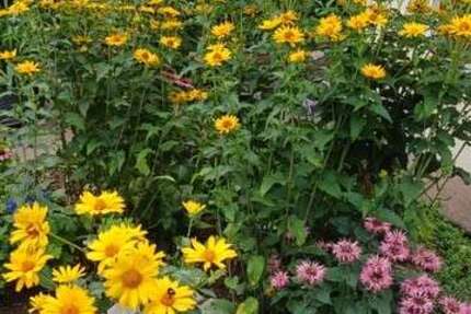 Haus Weimar Ehringsdorf - 5 Zimmer, 128 m&sup2;, 385.000&euro; | Angebot:25938067