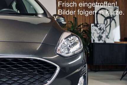 Ford Transit Connect 52.972 km 16.970 &euro; Großfahner 99100