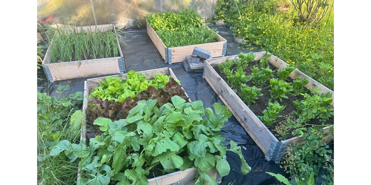 Grundstück Erfurt Andreasvorstadt - 3.000&euro; | Angebot:25423523