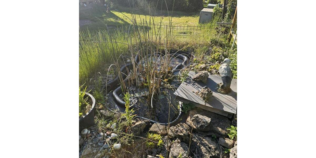 Grundstück Bad Berka - 6.500&euro; | Angebot:21461650