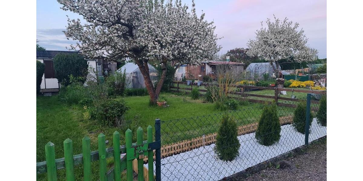 Grundstück Erfurt Andreasvorstadt - 3.000&euro; | Angebot:25423523