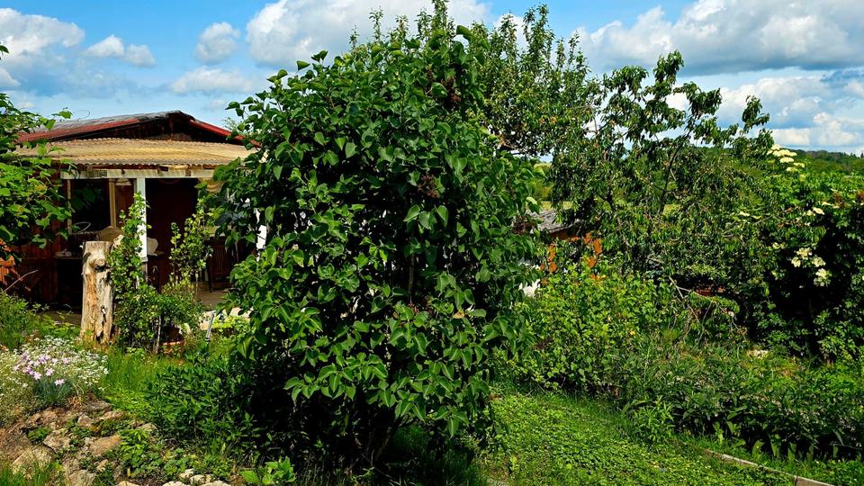 Grundstück Erfurt Hochheim - 2.450&euro; | Angebot:26534675