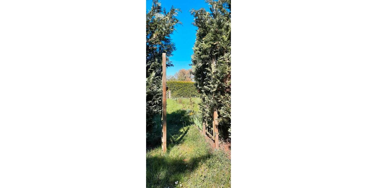 Grundstück Erfurt Melchendorf - 50&euro; | Angebot:26303535