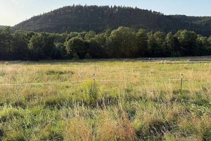 Grundstück Arnstadt Siegelbach - 217.000&euro; | Angebot:23515788