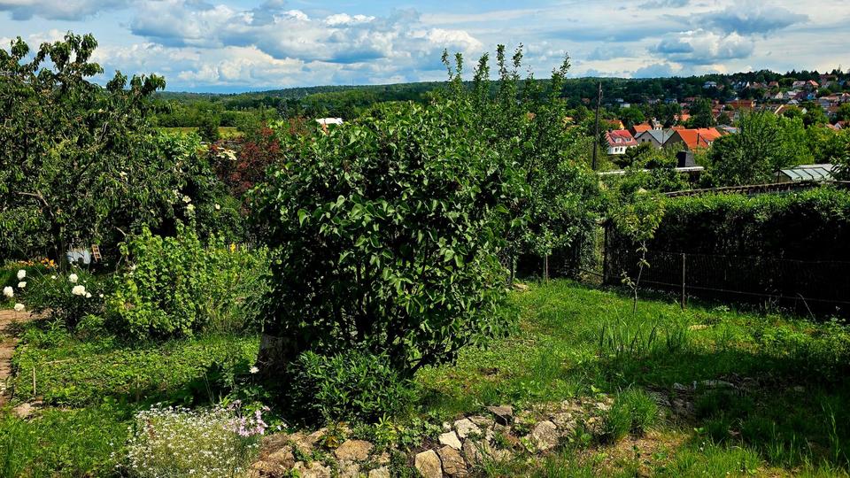 Grundstück Erfurt Hochheim - 2.450&euro; | Angebot:26534675