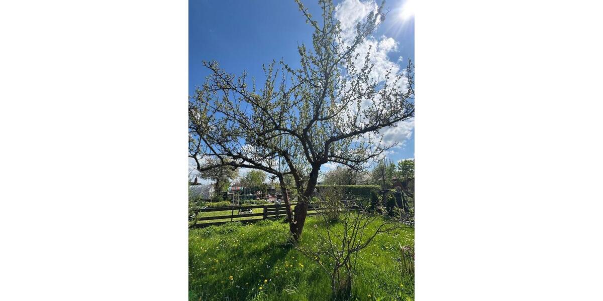 Grundstück Erfurt Andreasvorstadt - 3.000&euro; | Angebot:25423523