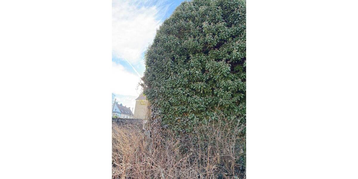 Bauernhaus, Landhaus Bad Berka Meckfeld - 4 Zimmer, 99 m&sup2;, 84.000&euro; | Angebot:26027588