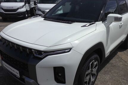 SsangYong Torres 450 km 27.890 € Sömmerda 99610