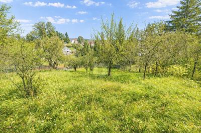 HISTORISCH VIEL PLATZ MIT GARTEN UND GARAGE - Reihenendhaus Arnstadt | Angebot:25857862