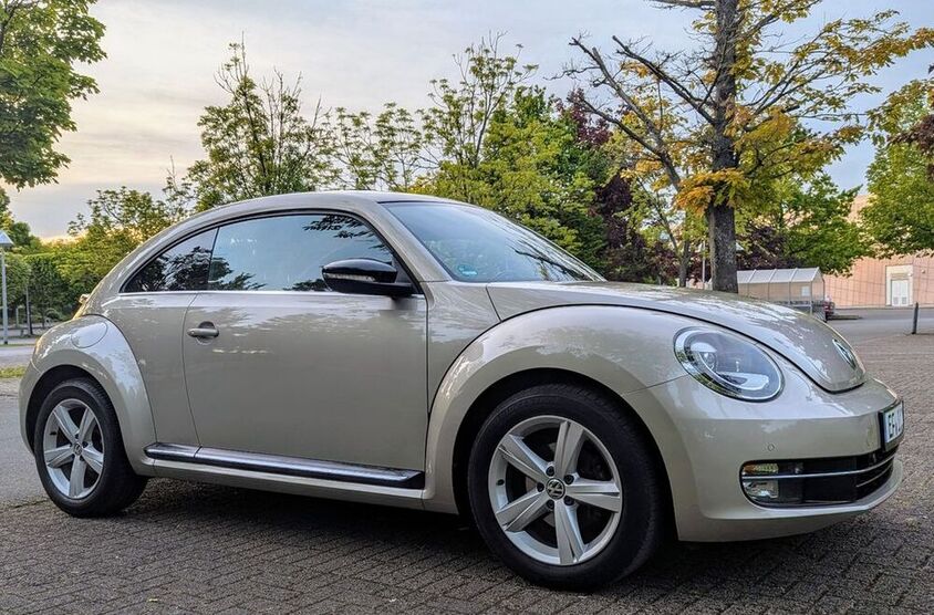 Beetle