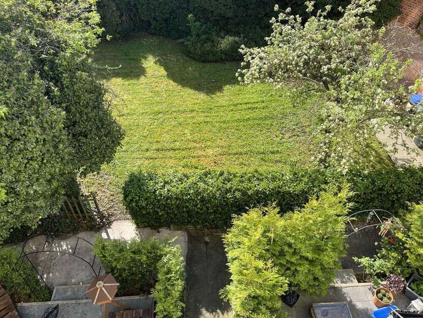 Wohnung zum Mieten in Erfurt 440 € 51 m²