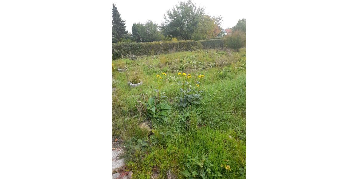 Grundstück Erfurt Gispersleben - 400&euro; | Angebot:25314281