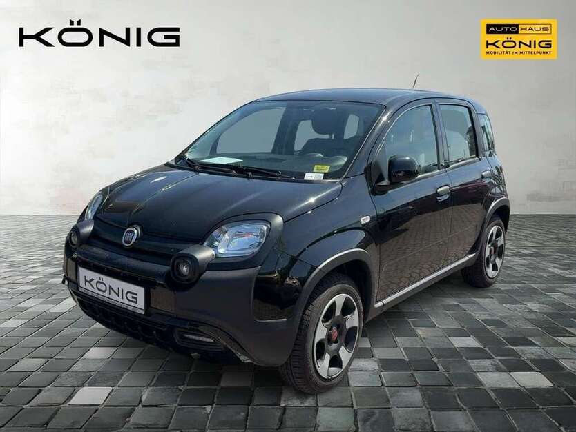 Panda