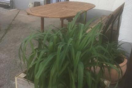 4,5+Raum+Wohnung (Haushälfte), Daberstedt 4 zimmer