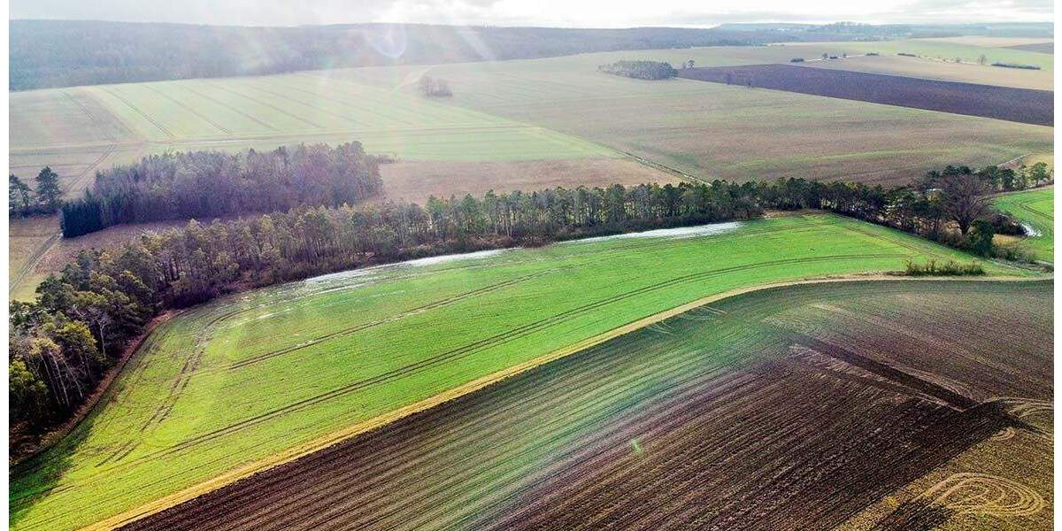 Versteigerungsimmobilie Blankenhain Kleinlohma - 39.000&euro; | Angebot:24711022