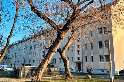 Wohnung Erfurt Andreasvorstadt - 2 Zimmer, 47 m&sup2;, 495&euro; | Angebot:26650079