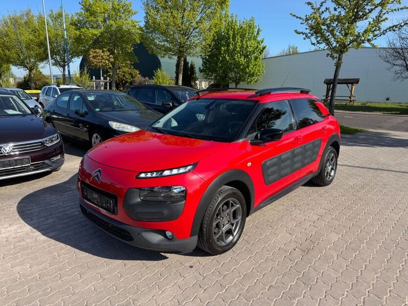 C4 Cactus