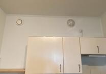 1-Raum-Wohnung WBG mit Küche am Herrenberg