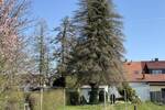 Doppelhaushälfte Gotha Uelleben - 7 Zimmer, 85 m&sup2;, 90.000&euro; | Angebot:25664932