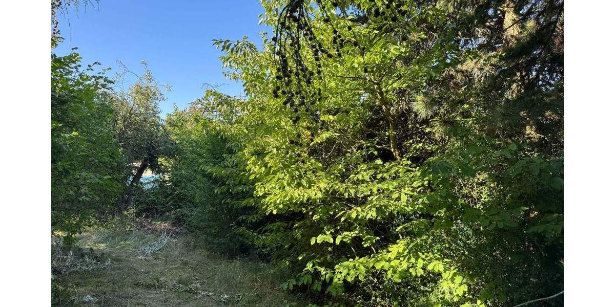 Grundstück Erfurt Möbisburg-Rhoda - 25.000&euro; | Angebot:26189214