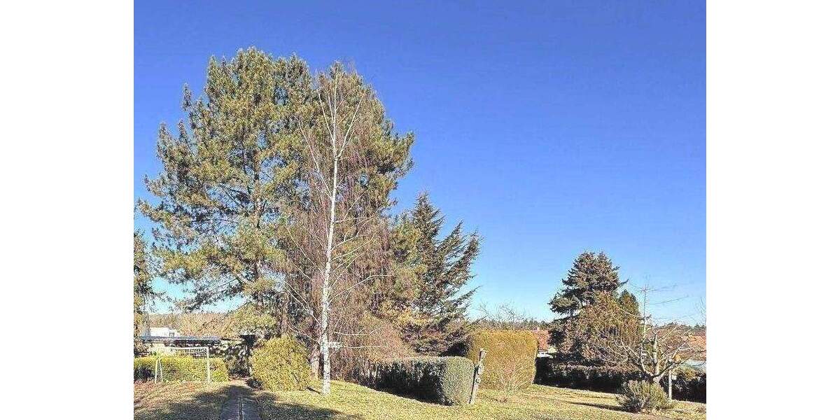 Doppelhaushälfte Erfurt Brühlervorstadt - 5 Zimmer, 100 m&sup2;, 349.000&euro; | Angebot:26683627