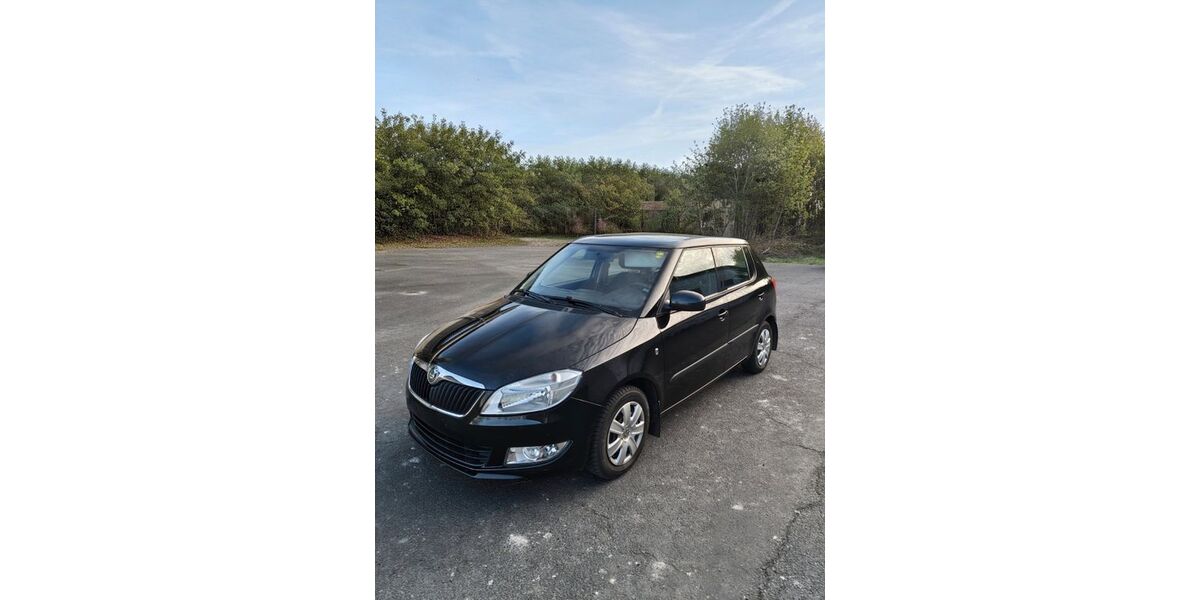 Skoda Fabia 100.020 km 6.300 &euro; Großmölsen 99198