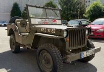 Willys