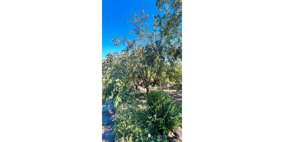 Grundstück Erfurt Gispersleben - 1.500&euro; | Angebot:26007257