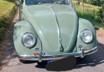 VW Käfer