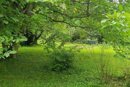 Grundstück Erfurt Löbervorstadt - 50.000&euro; | Angebot:23287599