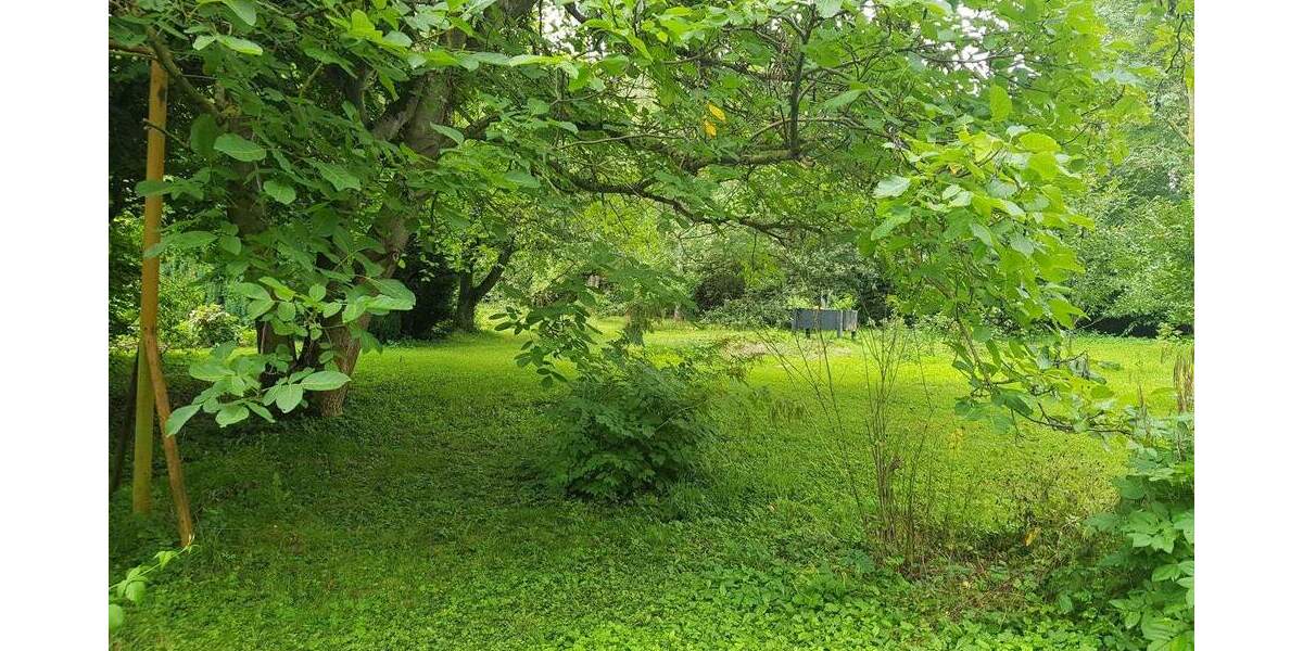 Grundstück Erfurt Löbervorstadt - 50.000&euro; | Angebot:23287599