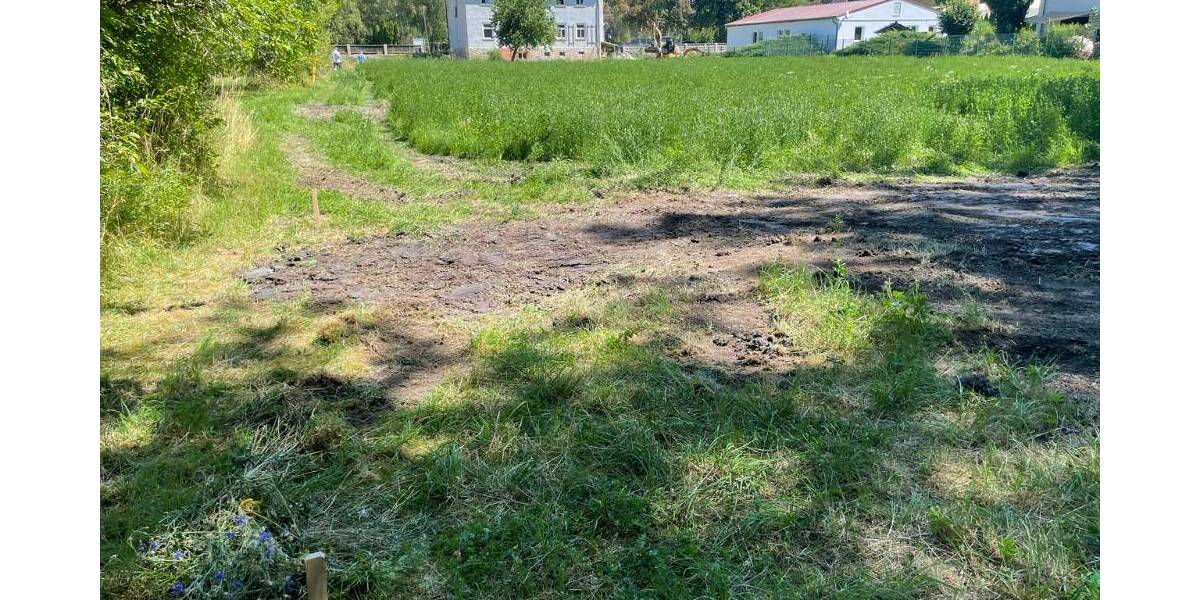 Bungalow Großrudestedt - 4 Zimmer, 102 m&sup2;, 381.400&euro; | Angebot:25837856