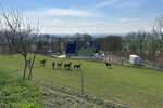 3 komplett eingerichtete Ferienhäuser mit Wirtschaftsgebäude, Lagerhalle und Wildgehege