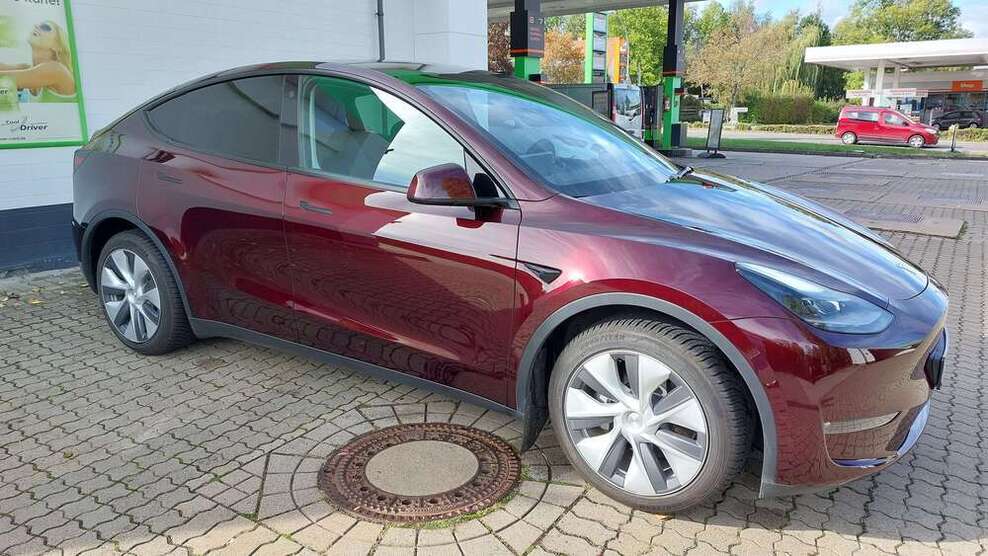 Model Y