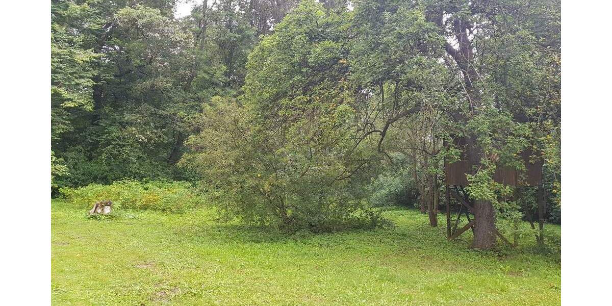 Traumhaftes und weitläufiges Wochenendgrundstück in Erfurt, Steigerwald zimmer