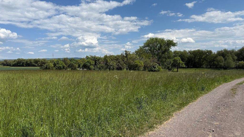 Grundstück Arnstadt Marlishausen - 105.400&euro; | Angebot:24721448