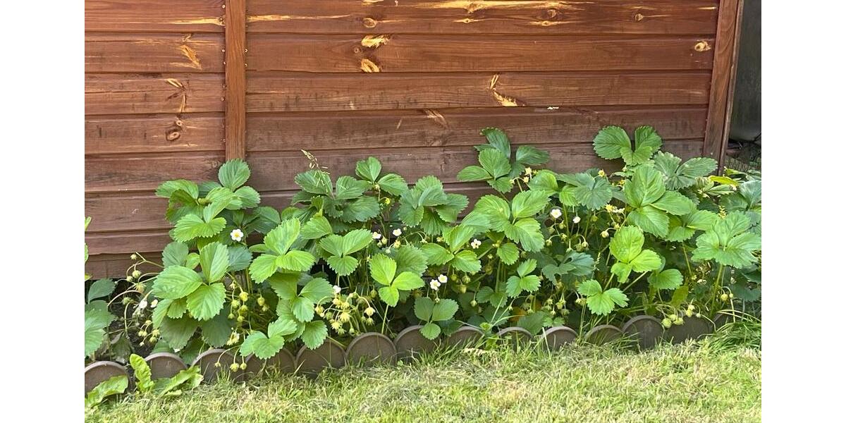 Grundstück Erfurt Hochheim - 3.500&euro; | Angebot:25844744