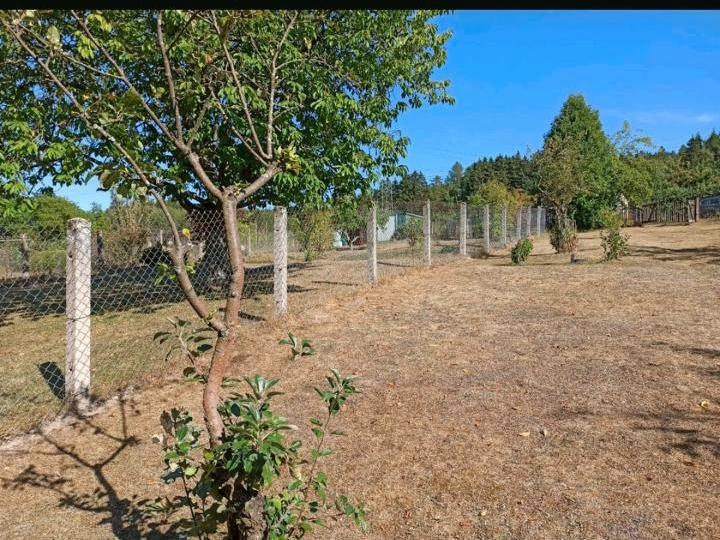 Grundstück Erfurt Johannesvorstadt - 180&euro; | Angebot:25770202