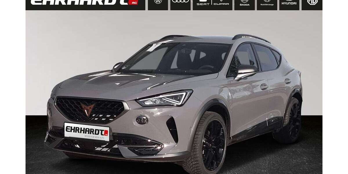 Cupra Formentor 41.260 km 25.950 &euro; Erfurt 99099