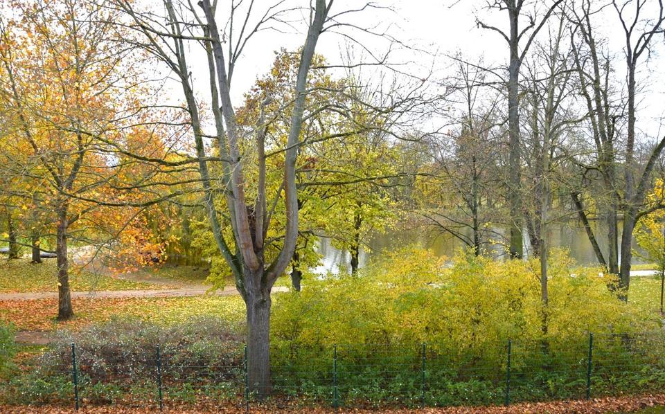 großzügige und helle 3-Raumwohnung in guter Lage von Apolda 3 zimmer