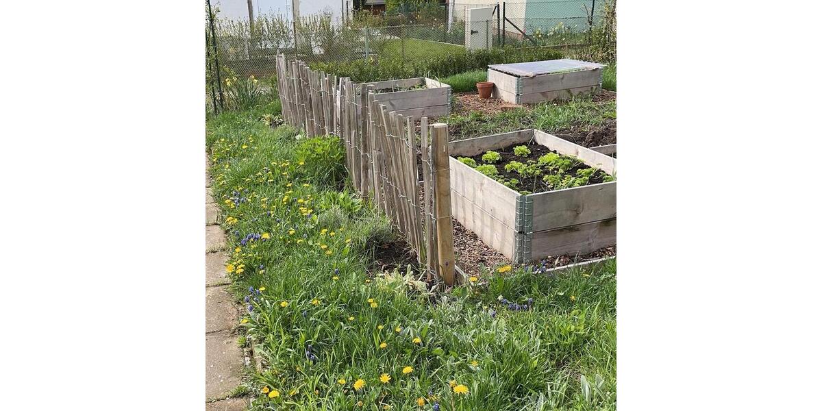 Grundstück Erfurt Daberstedt | Angebot:25372633